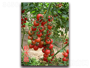 ��ˮ��-���ҷ��ѷN��-�|�Z�r(n��ng)�I(y��)