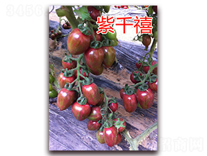 ��ǧ��-���ҷ��ѷN��-�|�Z�r(n��ng)�I(y��)