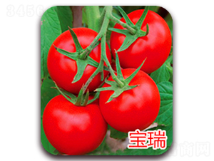 ����-���͟ΌTY�t�����ѷN��-�|�Z�r(n��ng)�I(y��)