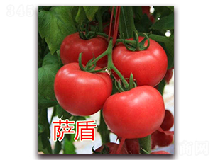 �_��-�۹����ѷN��-�|�Z�r(n��ng)�I(y��)