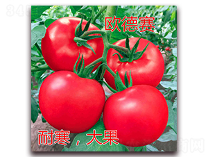 �W��ِ-�۹����ѷN��-�|�Z�r(n��ng)�I(y��)