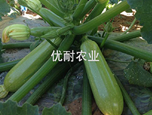 ��(y��u)����̖(h��o)-�����J�N��-��(y��u)���r(n��ng)�I(y��)