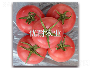 �����R��-���ѷN��-��(y��u)���r(n��ng)�I(y��)