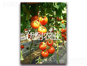 ��(y��u)�t1513-���ѷN��-��(y��u)���r(n��ng)�I(y��)