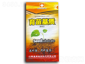 ������|(zh��)-�r(n��ng)��(l��)����