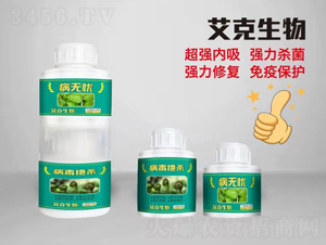 ���o�n-��������