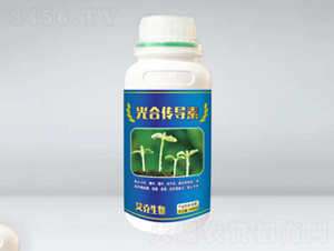 ��ς����أ�ƿ��-��������