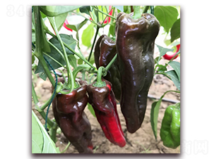 �ݽ��N��-� ��r(n��ng)�I(y��)