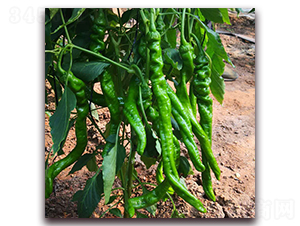 �]��5-�����N��-� ��r(n��ng)�I(y��)