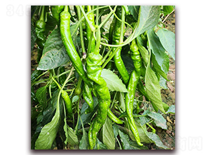 �]��1-�����N��-� ��r(n��ng)�I(y��)