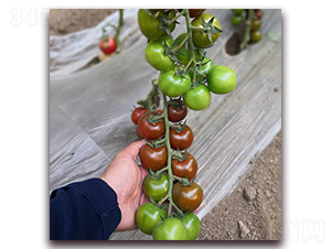 �ϴ�-���ѷN��-� ��r(n��ng)�I(y��)