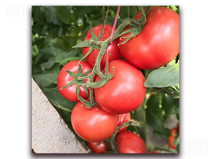 � �1072-���ѷN��-� ��r(n��ng)�I(y��)