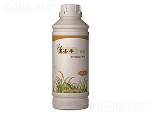 ���-�����S-����