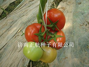 8848-����TY��t���ѷN��-����