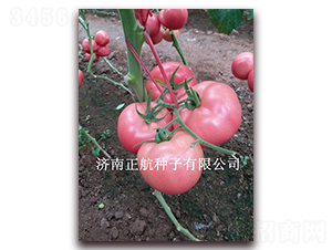 ��ϲ132-�۹����ѷN��-����