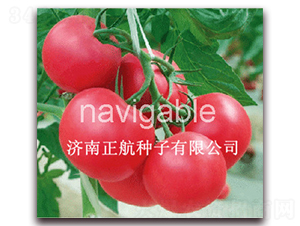 �ی�88-�۹����ѷN��-����