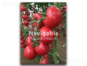 K214-�۹����ѷN��-����