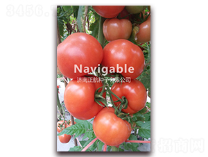 �ط�009-�۹����ѷN��-����