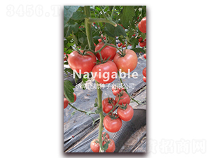 ����-�۹����ѷN��-����