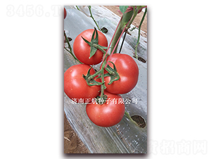 ����-�۹����ѷN��-����