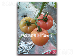 1789-�۹����ѷN��-����