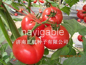 1788-�۹����ѷN��-����