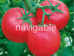 �W���R-�۹����ѷN��-����