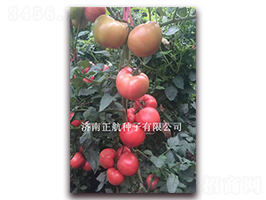 �ط�701-�۹����ѷN��-����