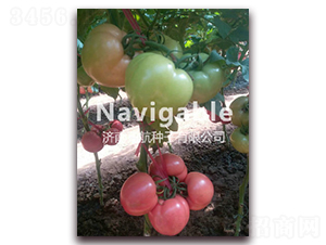 ���_-�۹����ѷN��-����