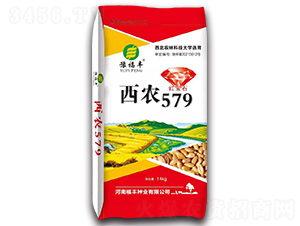 ���r(n��ng)579-С���N��-ԥ�β�