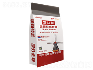 �A�w�������-������-����Ƽ�