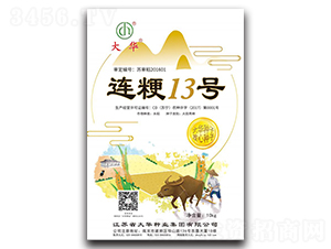 �B��13̖(h��o)-ˮ���N��-���A�N�I(y��)