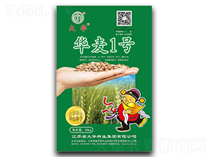 �A��1̖(h��o)-С���N��-���A�N�I(y��)