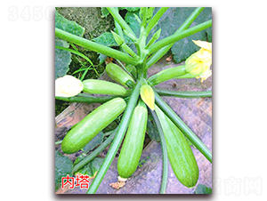 ��(n��i)��-�����J�N��-�f���r(n��ng)�I(y��)