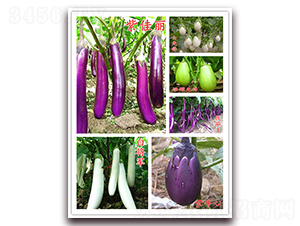 ϡ�����ӷN��-�f���r(n��ng)�I(y��)