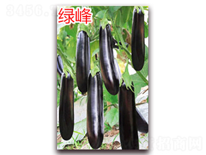 �G��-���ӷN��-�f���r(n��ng)�I(y��)