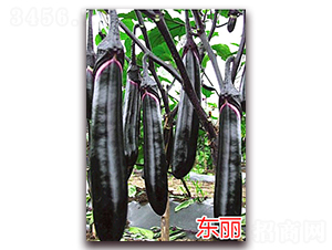 �|��-���ӷN��-�f���r(n��ng)�I(y��)