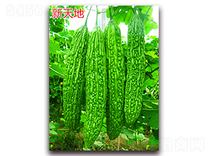 �����-��ϷN��-�f���r(n��ng)�I(y��)