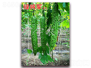 �G��܊F1-��ϷN��-�f���r(n��ng)�I(y��)