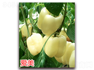 ����-�����N��-�f���r(n��ng)�I(y��)