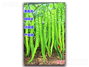 һ����-�����N��-�f���r(n��ng)�I(y��)