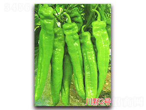 ��Ұ2̖-�����N��-�f���r(n��ng)�I(y��)