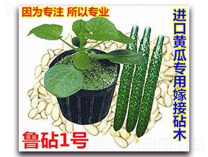 ����1̖(h��o)-�S�ϷN��-�f(w��n)���r(n��ng)�I(y��)