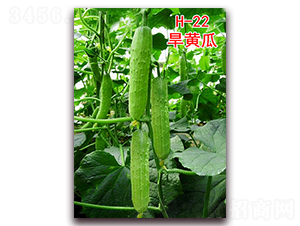 ���S��H-22-�S�ϷN��-�f(w��n)���r(n��ng)�I(y��)