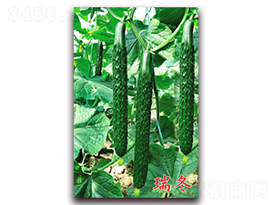 ��-�S�ϷN��-�f(w��n)���r(n��ng)�I(y��)