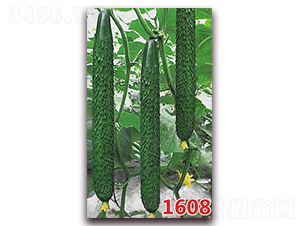 1608-�S�ϷN��-�f(w��n)���r(n��ng)�I(y��)