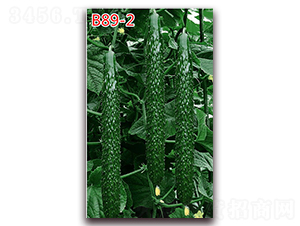 B89-2-�S�ϷN��-�f(w��n)���r(n��ng)�I(y��)