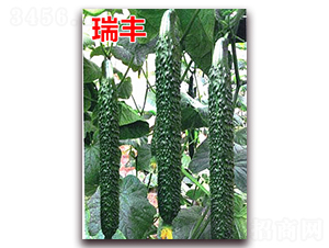 ���S-�S�ϷN��-�f(w��n)���r(n��ng)�I(y��)