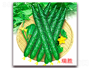 ����-�S�ϷN��-�f(w��n)���r(n��ng)�I(y��)