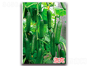 ���-ˮ���S�ϷN��-�f(w��n)���r(n��ng)�I(y��)